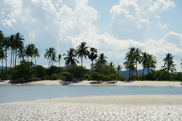Où trouver des cours de cuisine vietnamienne gratuits à Hanoi ?