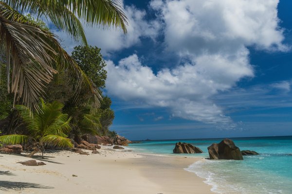 Guide des plages des seychelles : votre voyage idéal commence ici